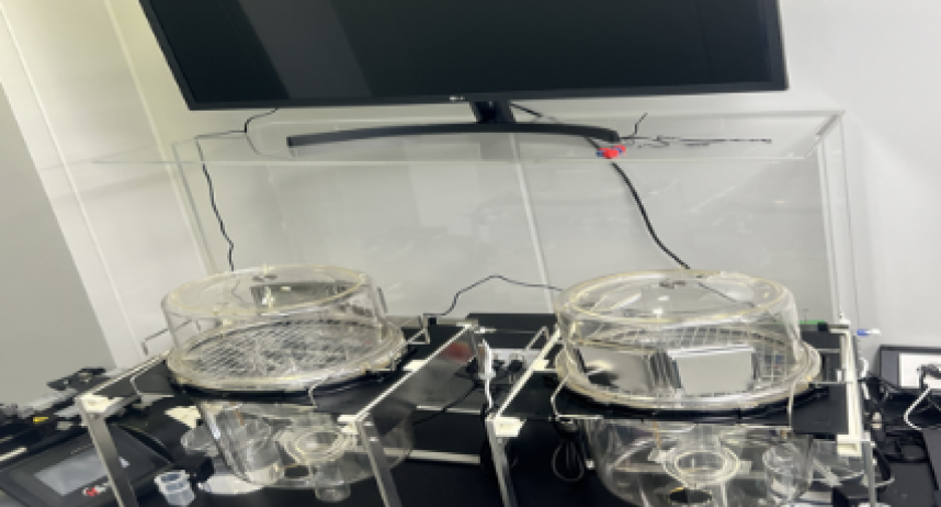 요역동학 측정기