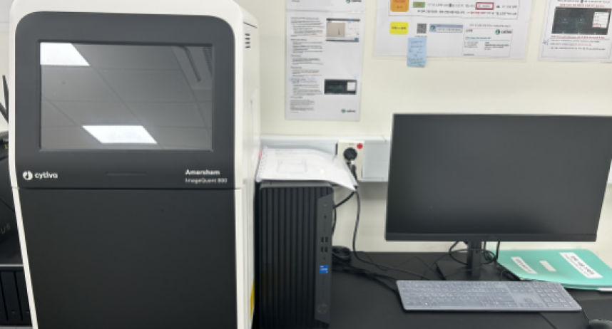 Bio Image Analysis System