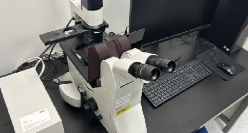 Fluorescence Microscope